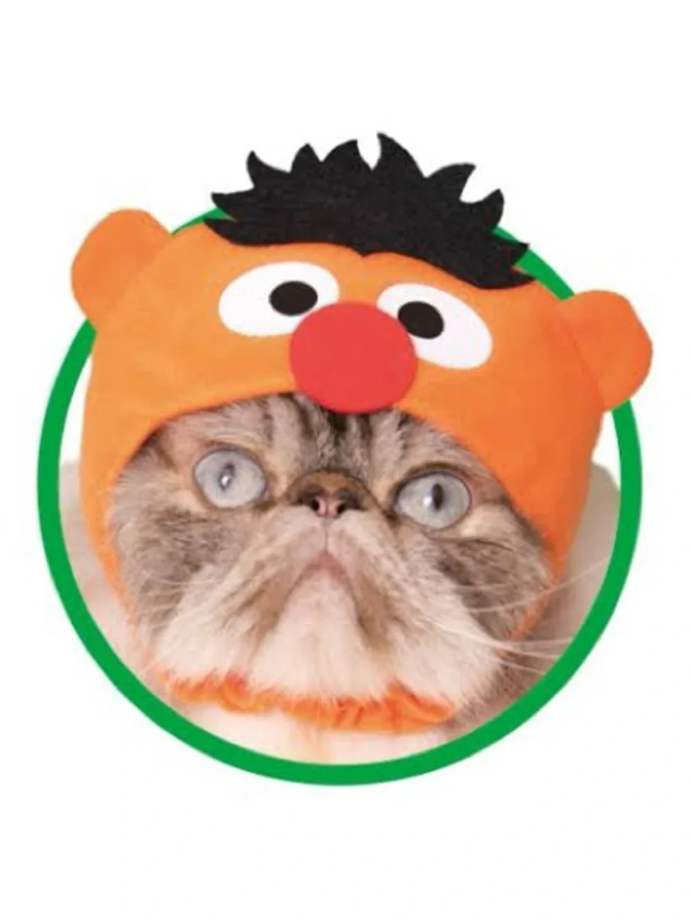 Sesame Street from japan